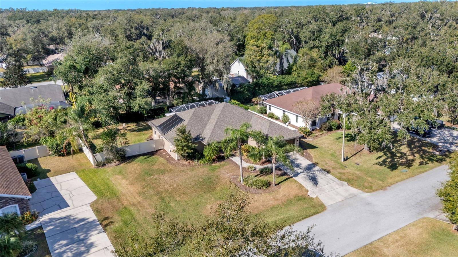 Image 49 of 50 For 5949 Trophy  