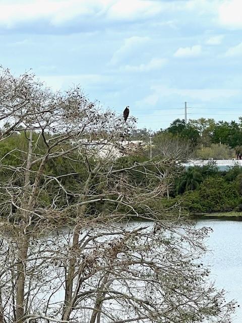 Image 19 of 21 For 700 Mirror Terrace Nw 404