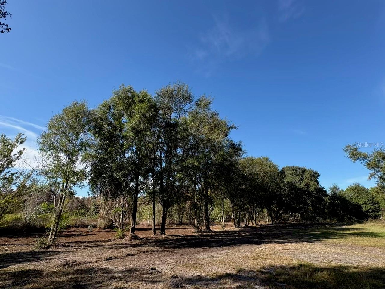 Details for Hammock Loop, POLK CITY, FL 33868