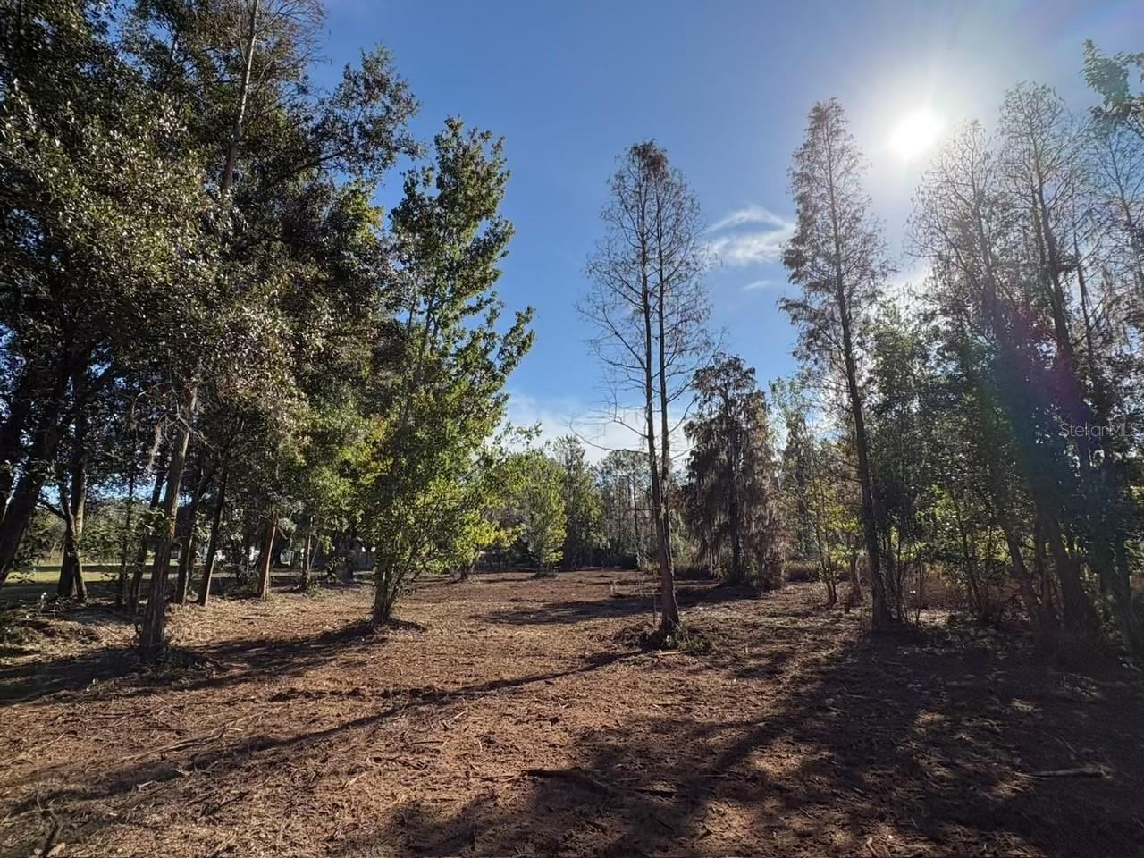 Image 4 of 7 For Hammock Loop