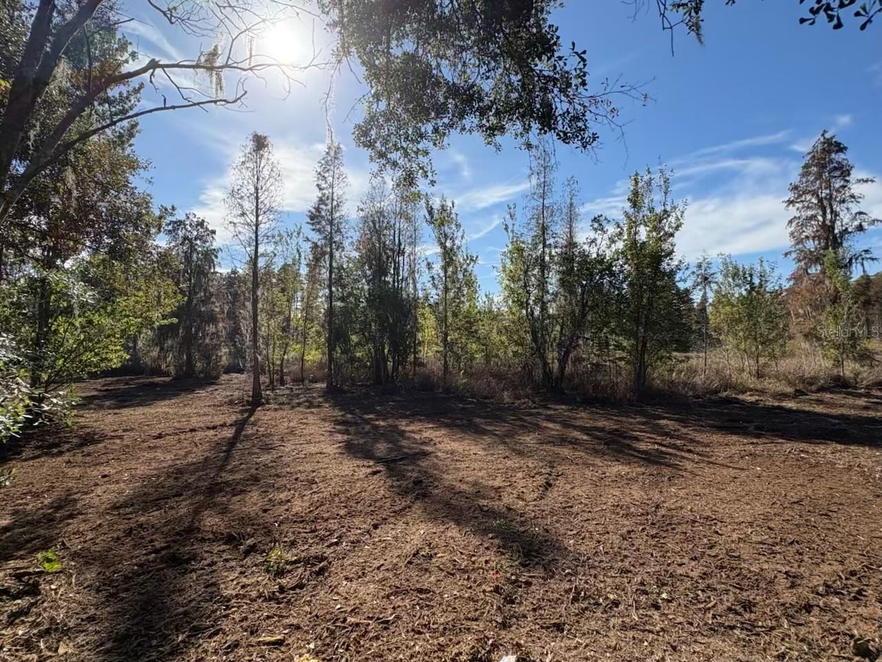 Image 6 of 7 For Hammock Loop