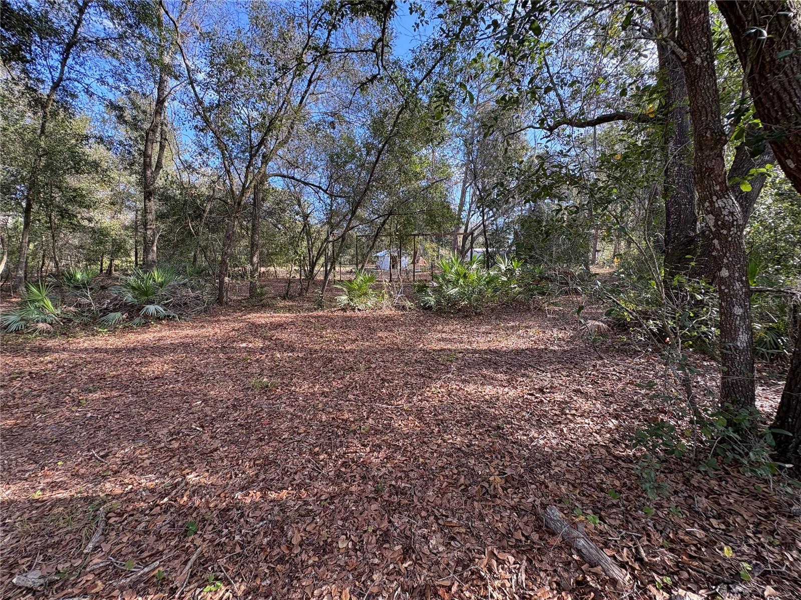 Image 16 of 22 For 10636 Pathfinder Trail