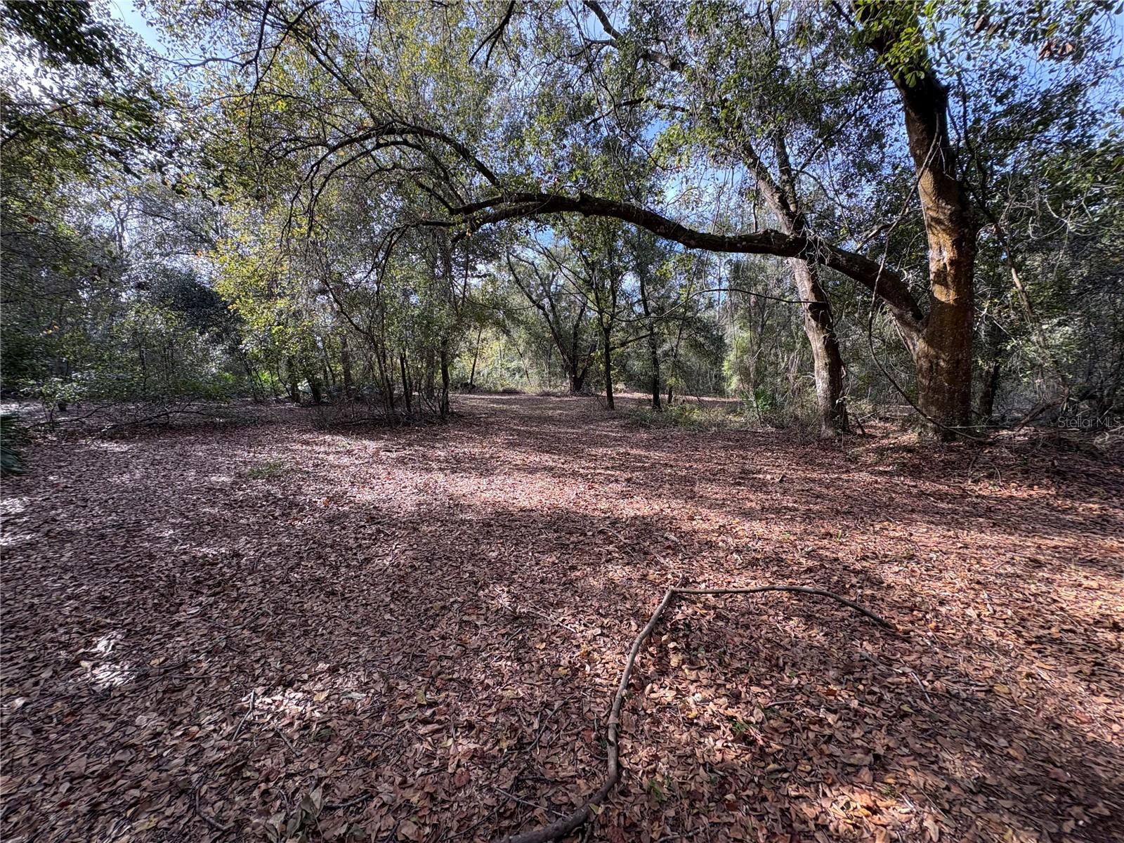 Image 19 of 22 For 10636 Pathfinder Trail