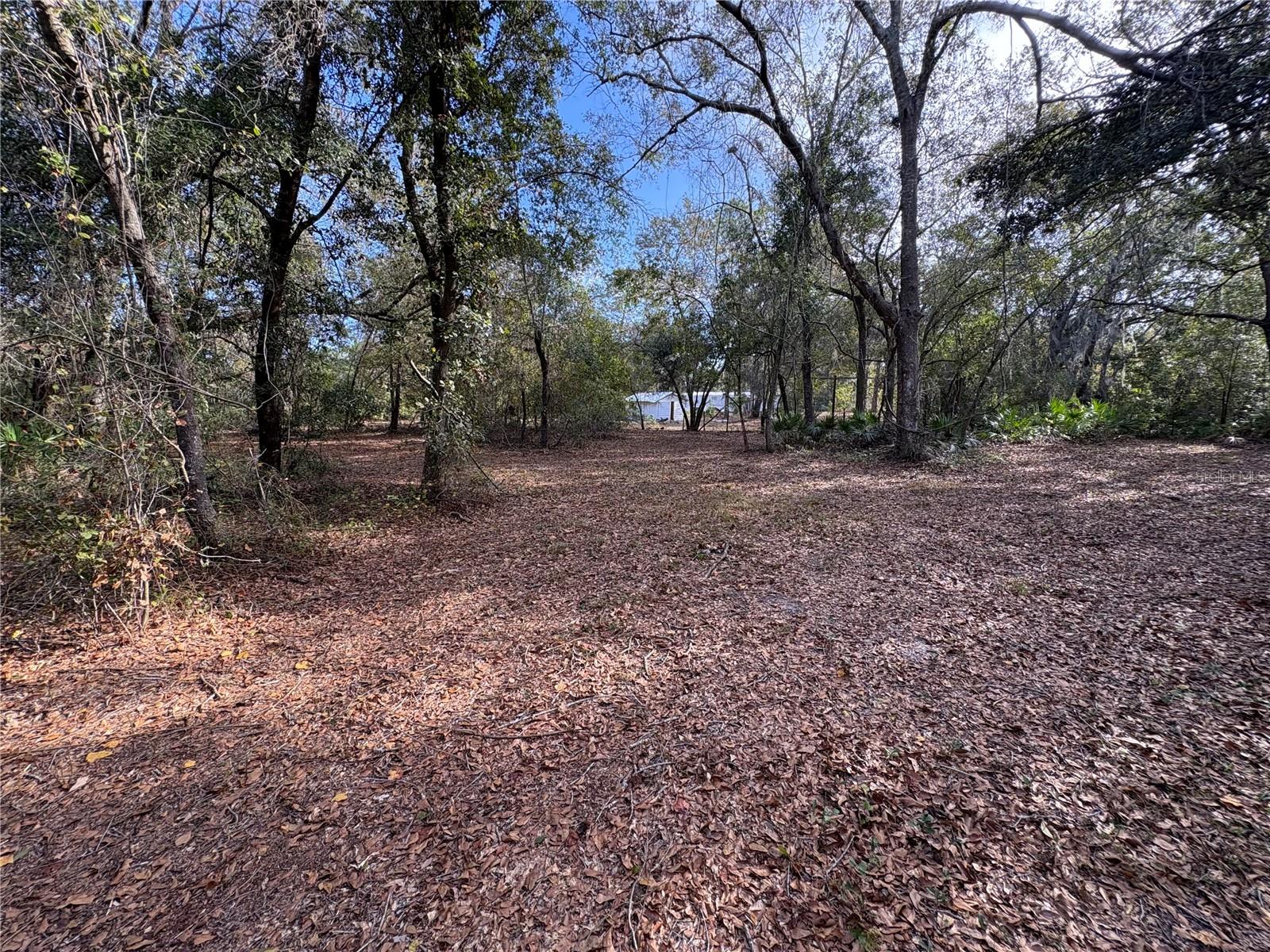 Image 20 of 22 For 10636 Pathfinder Trail