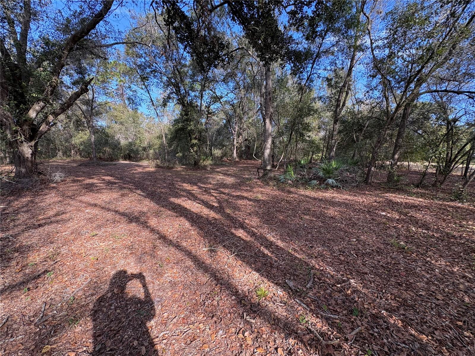 Image 21 of 22 For 10636 Pathfinder Trail