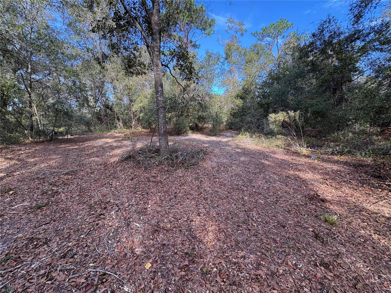 Image 22 of 22 For 10636 Pathfinder Trail