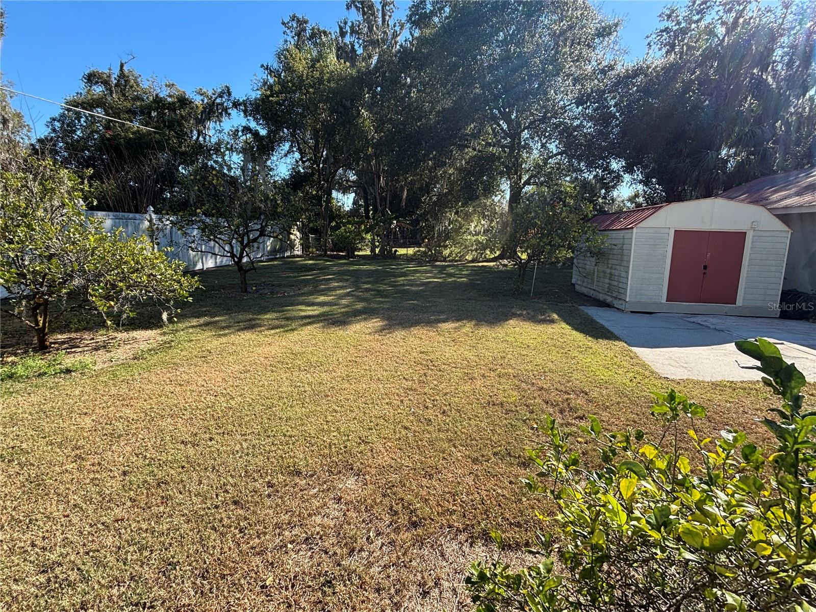 Image 50 of 50 For 1230 Orange