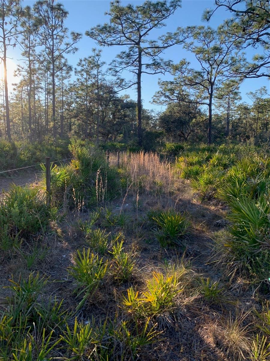 Image 10 of 40 For 49 Fenny Bosk Trail
