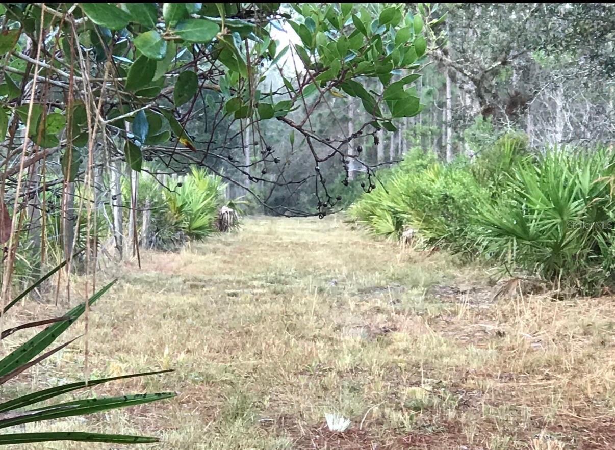 Image 11 of 40 For 49 Fenny Bosk Trail