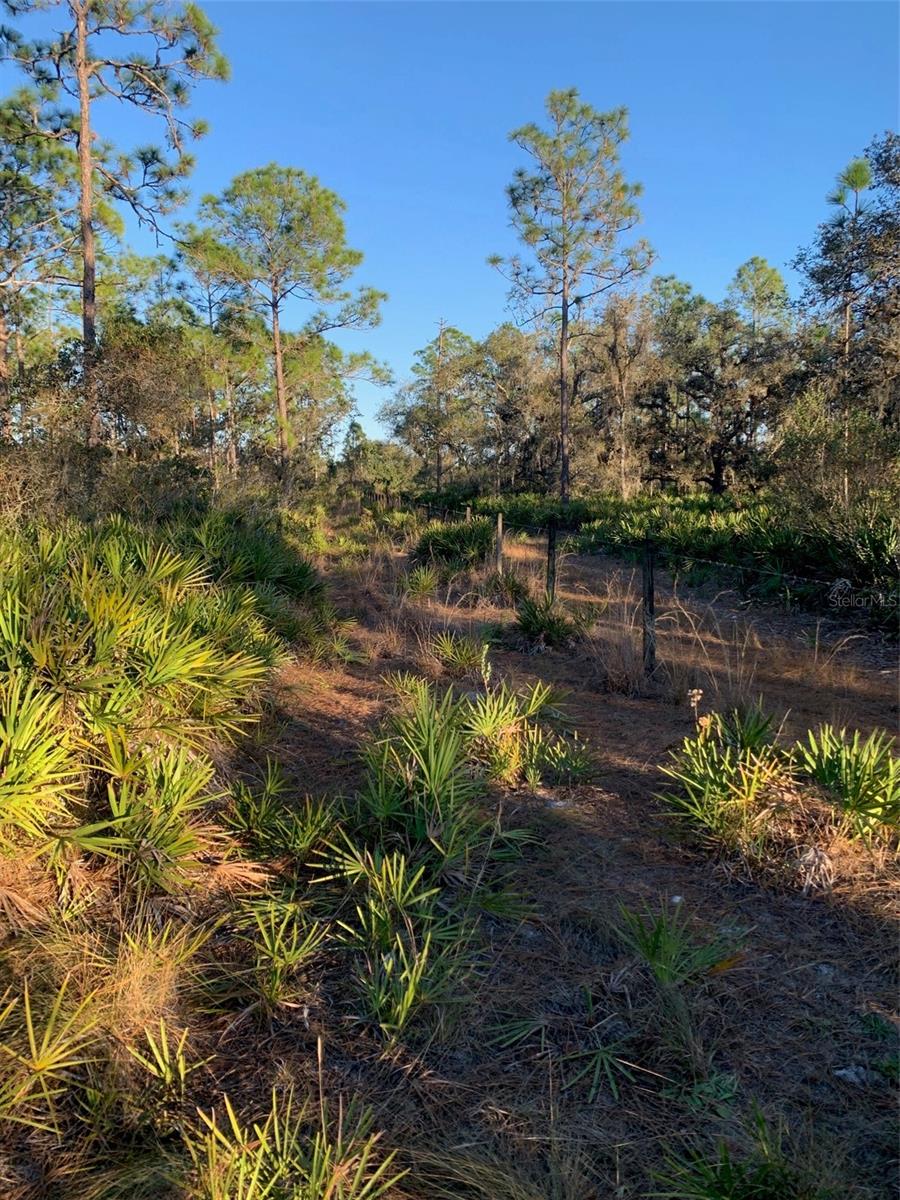 Image 12 of 40 For 49 Fenny Bosk Trail