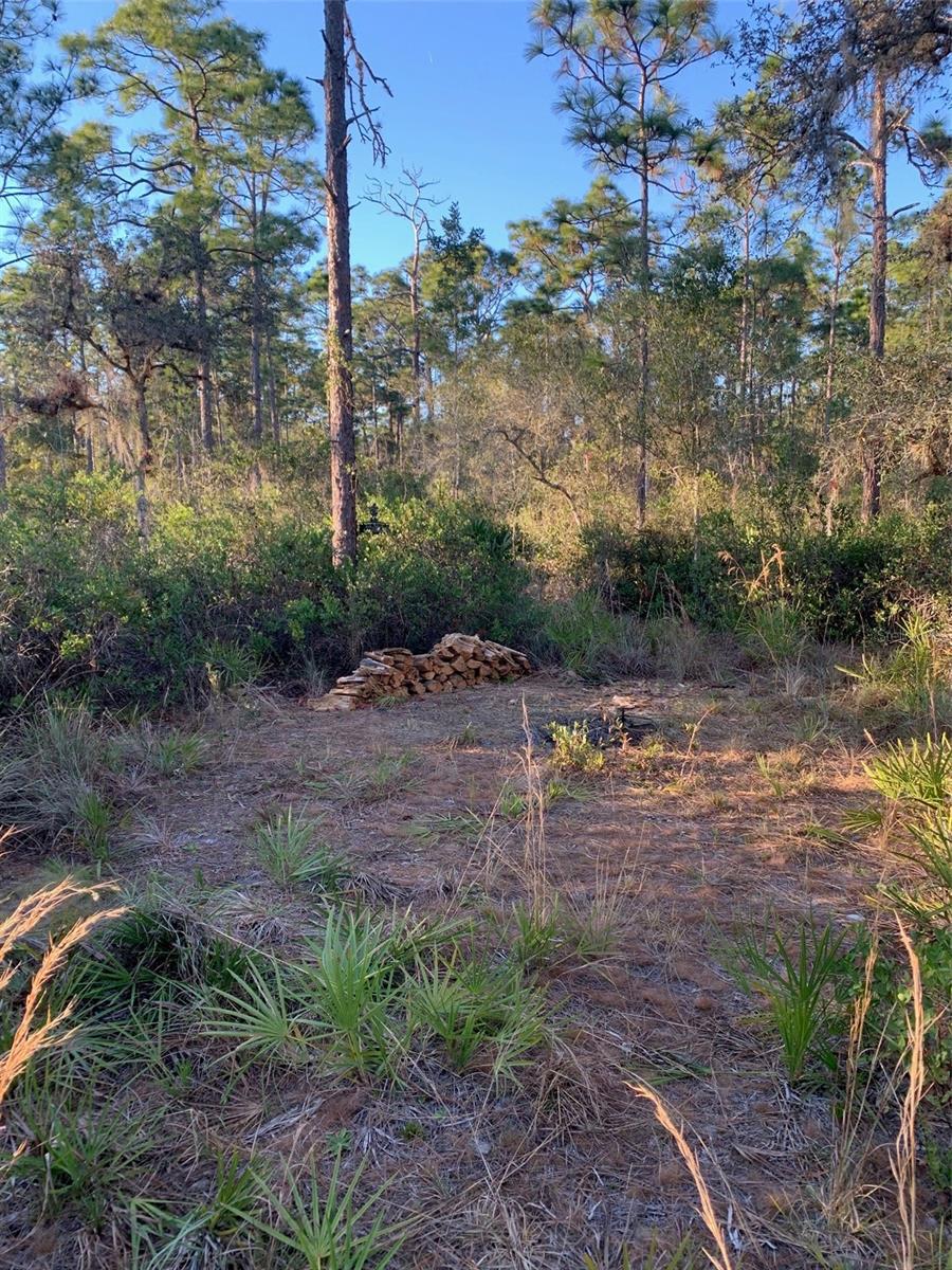 Image 13 of 40 For 49 Fenny Bosk Trail