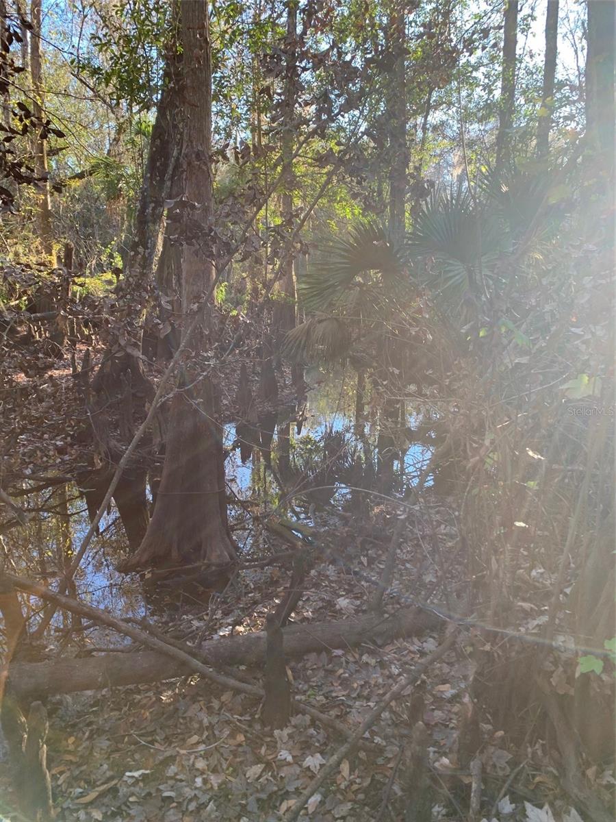 Image 17 of 40 For 49 Fenny Bosk Trail