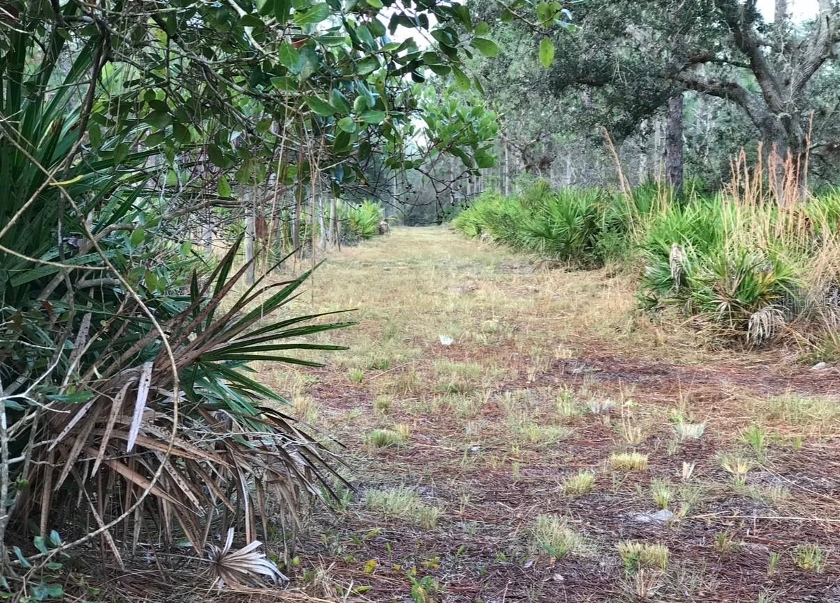 Image 21 of 40 For 49 Fenny Bosk Trail