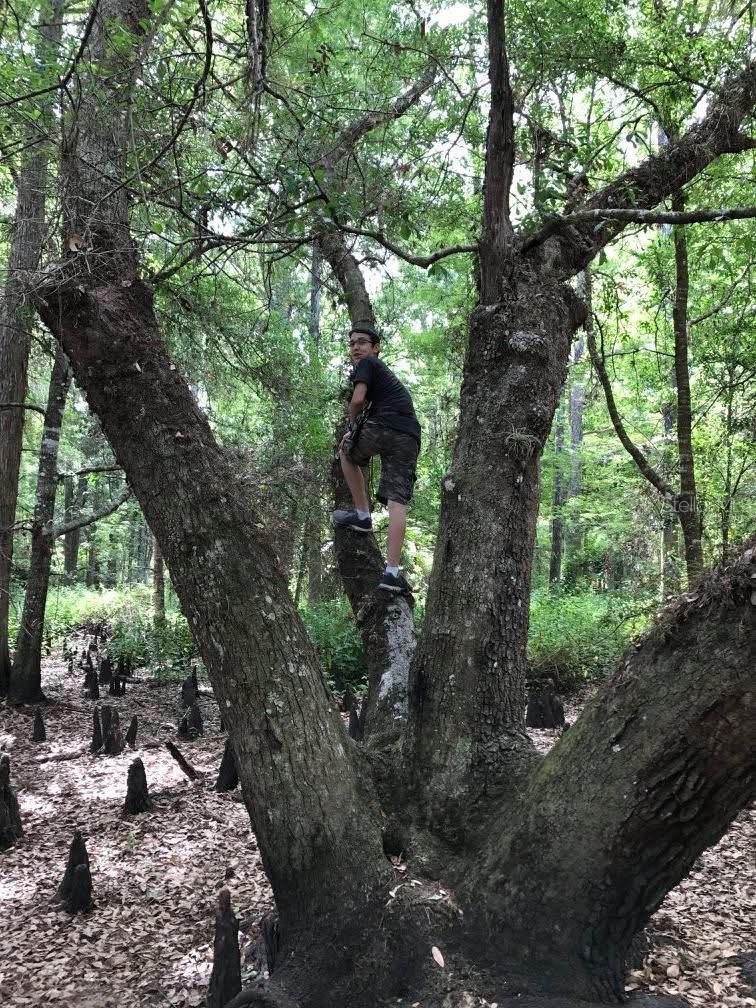 Image 23 of 40 For 49 Fenny Bosk Trail