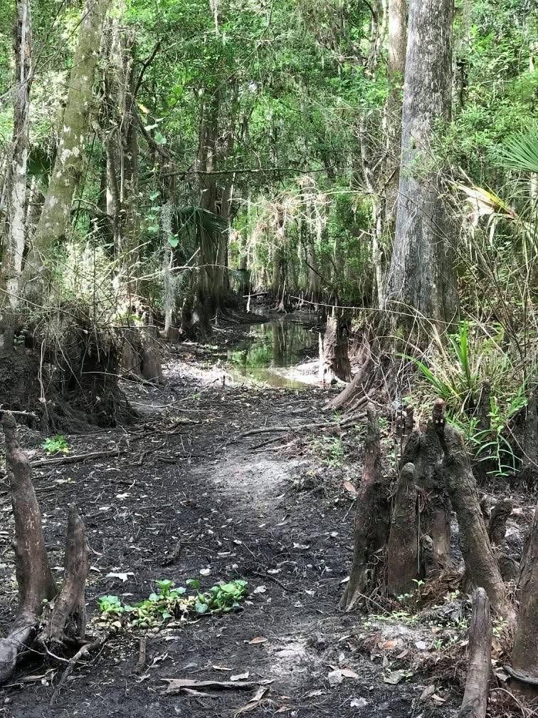 Image 24 of 40 For 49 Fenny Bosk Trail