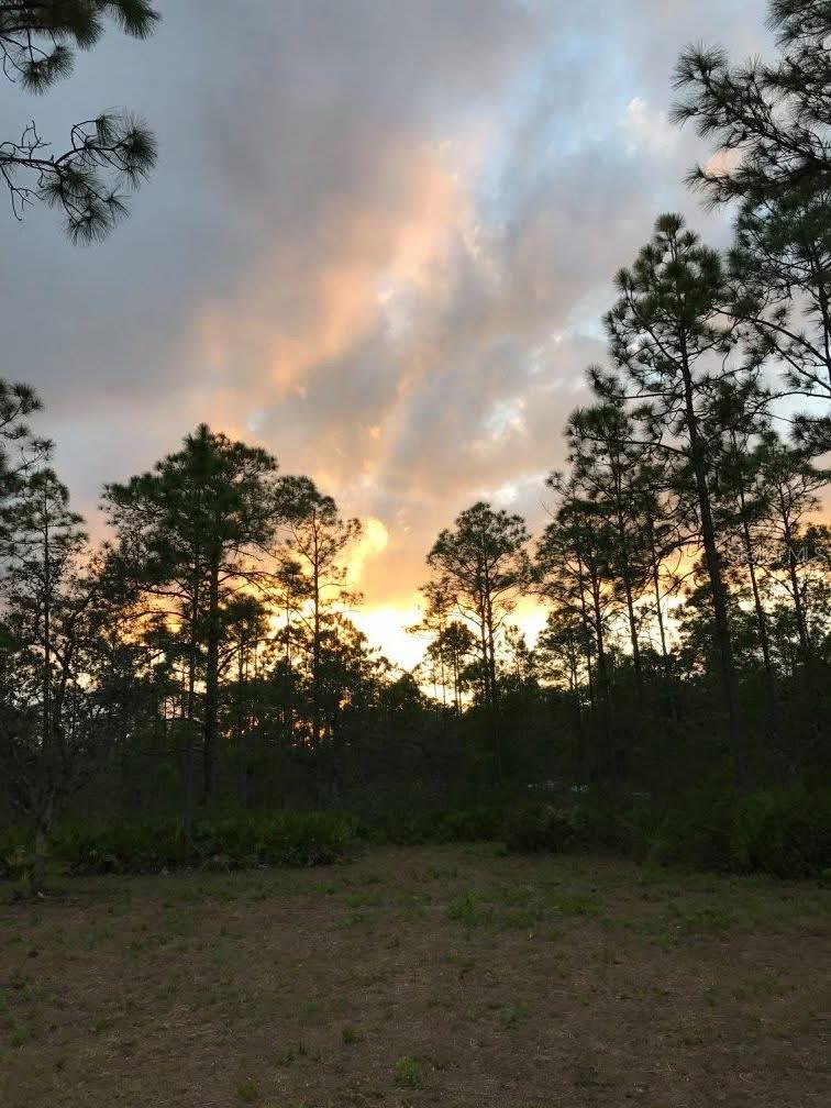 Image 26 of 40 For 49 Fenny Bosk Trail