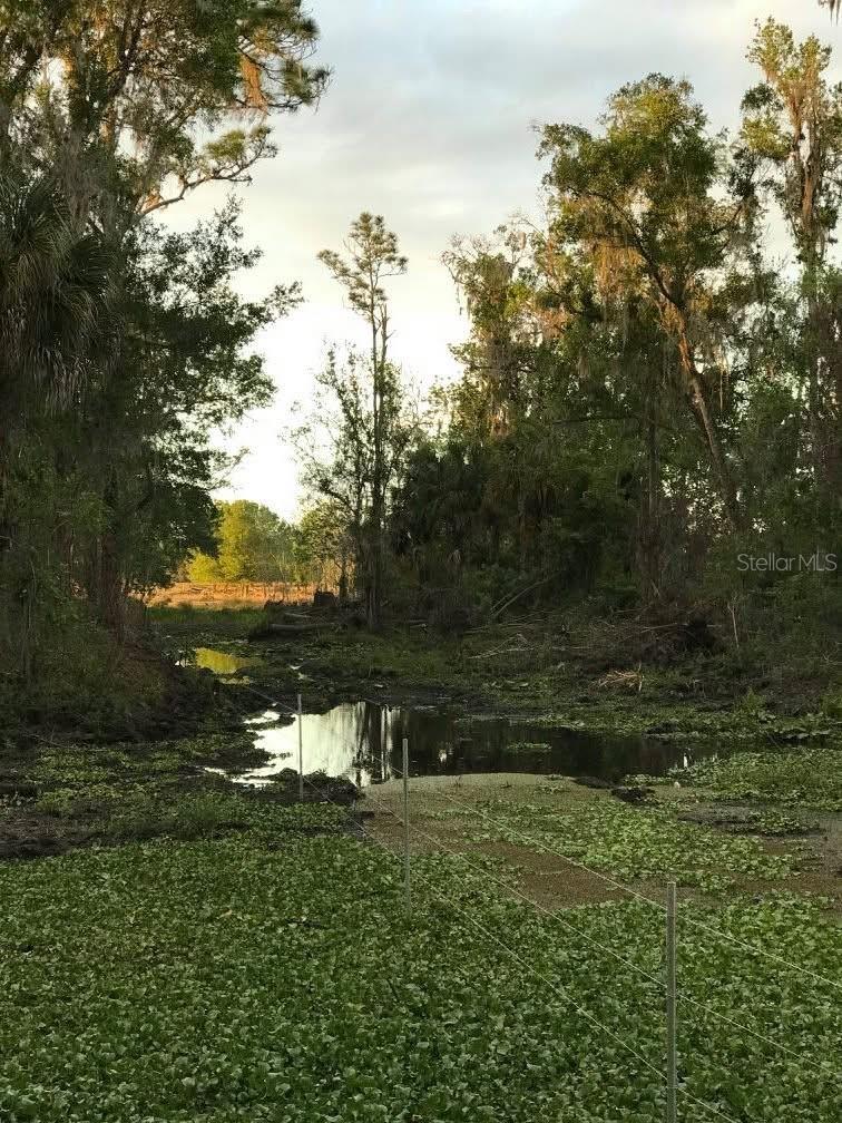 Image 27 of 40 For 49 Fenny Bosk Trail