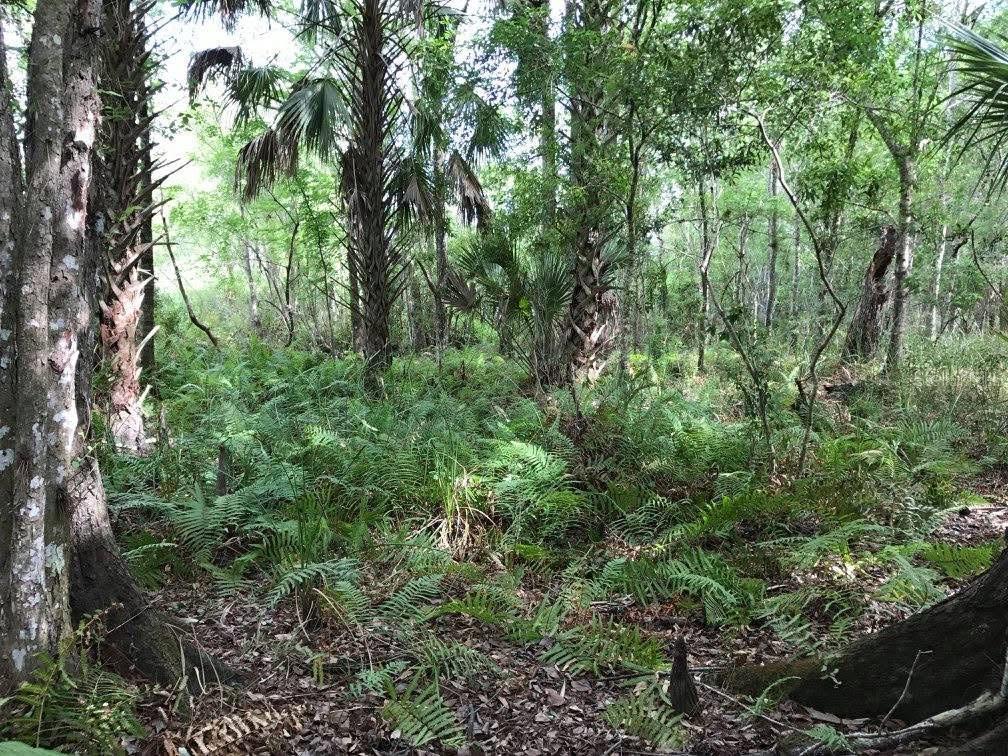 Image 29 of 40 For 49 Fenny Bosk Trail