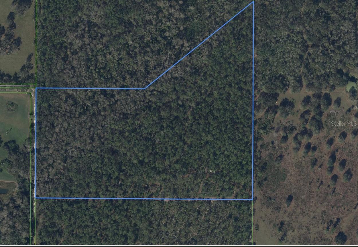 Image 3 of 40 For 49 Fenny Bosk Trail