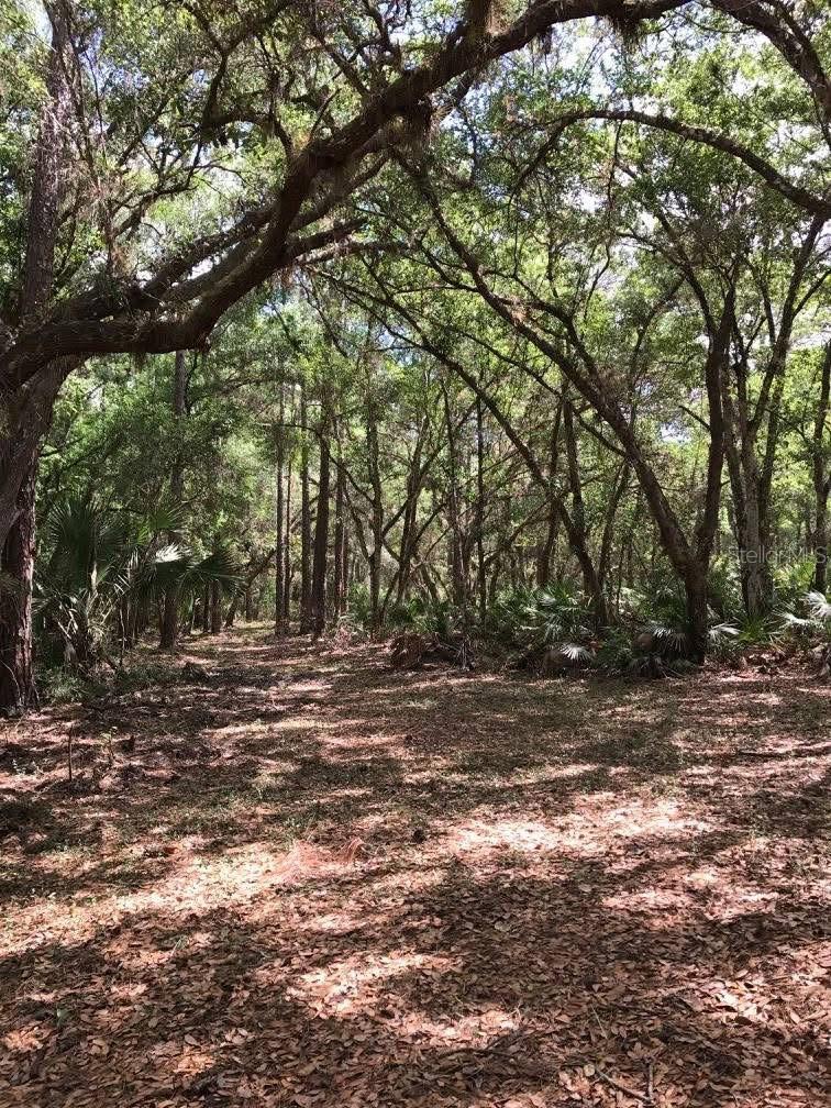 Image 32 of 40 For 49 Fenny Bosk Trail