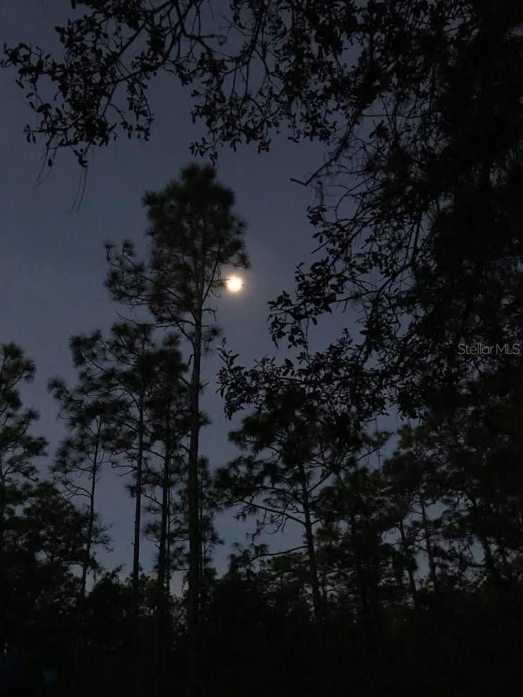 Image 33 of 40 For 49 Fenny Bosk Trail