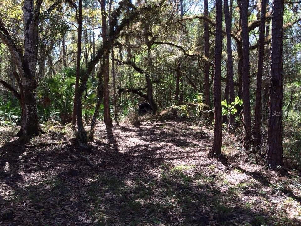 Image 36 of 40 For 49 Fenny Bosk Trail