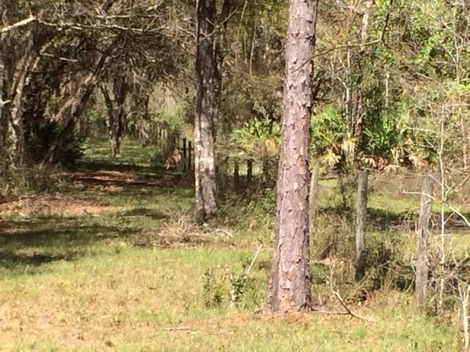 Image 39 of 40 For 49 Fenny Bosk Trail