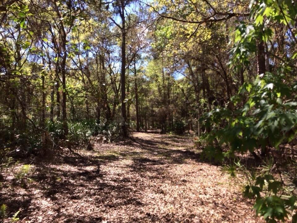 Image 40 of 40 For 49 Fenny Bosk Trail