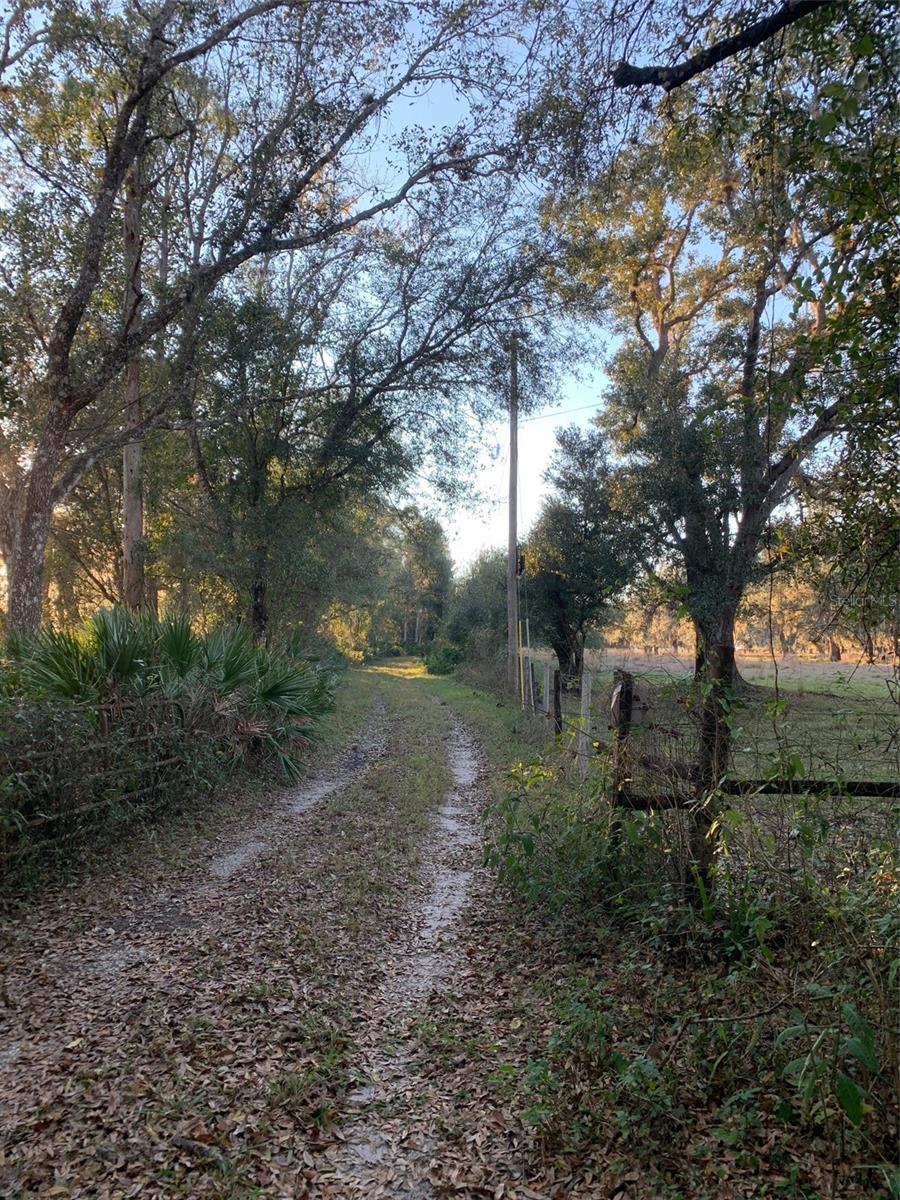 Image 6 of 40 For 49 Fenny Bosk Trail