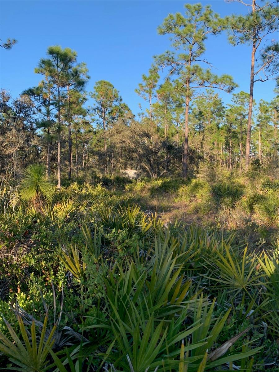 Image 8 of 40 For 49 Fenny Bosk Trail