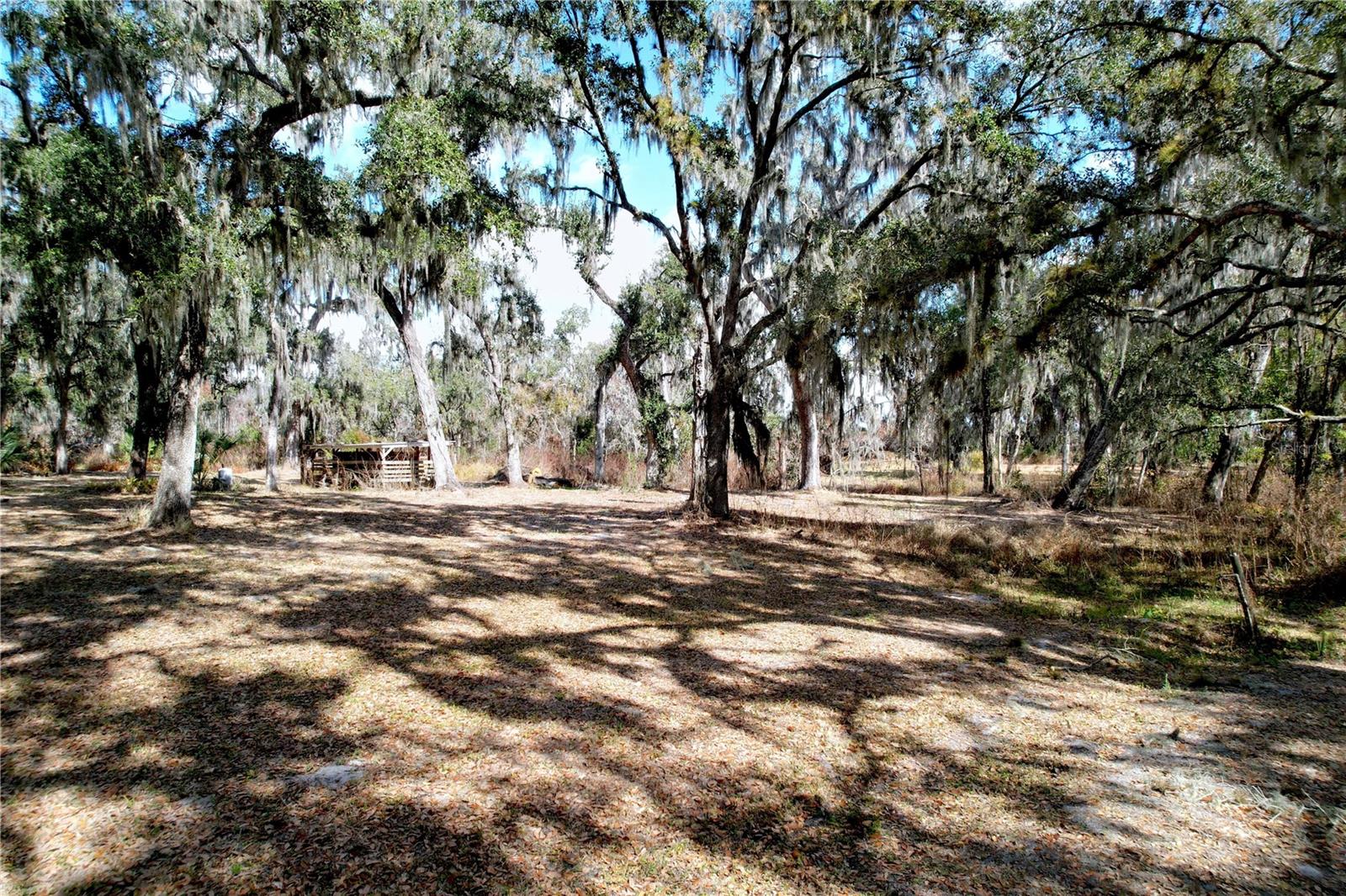 Image 28 of 79 For 15210 Rough Diamond Ranch Road