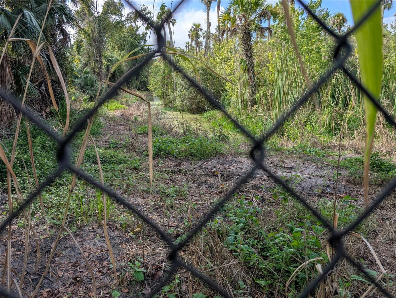 Image 72 of 76 For 3151 Rooks Road