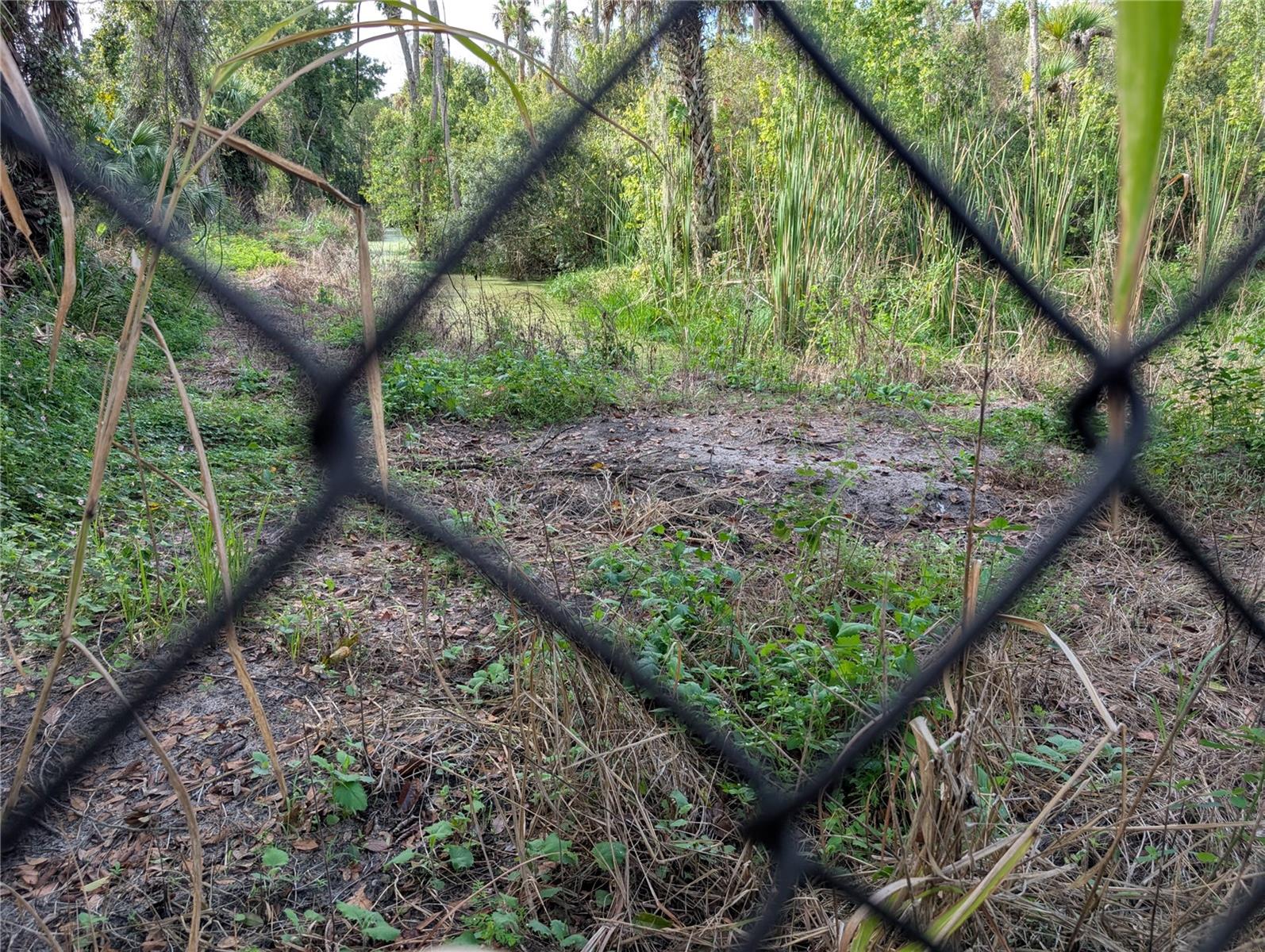 Image 73 of 76 For 3151 Rooks Road