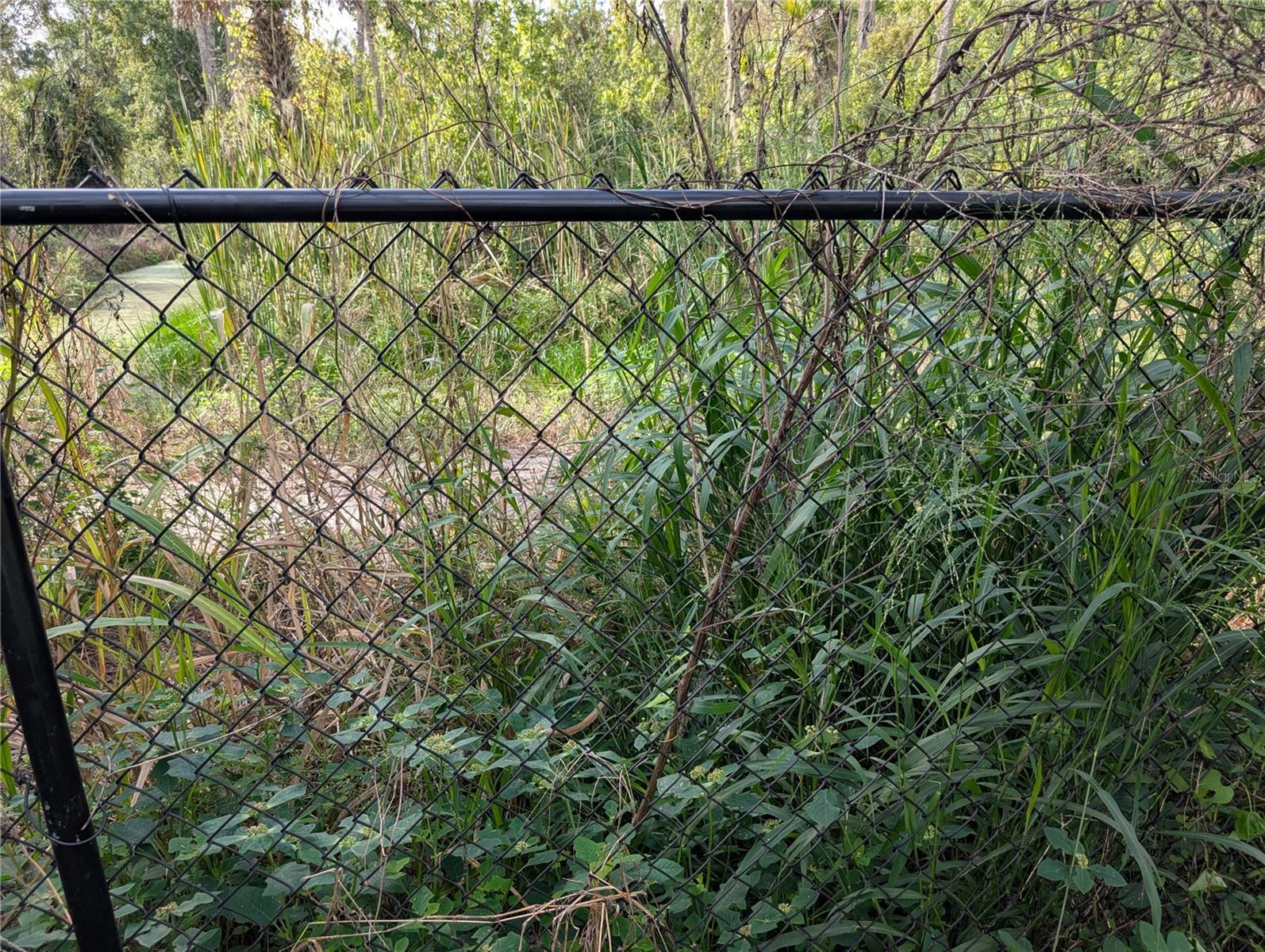 Image 76 of 76 For 3151 Rooks Road