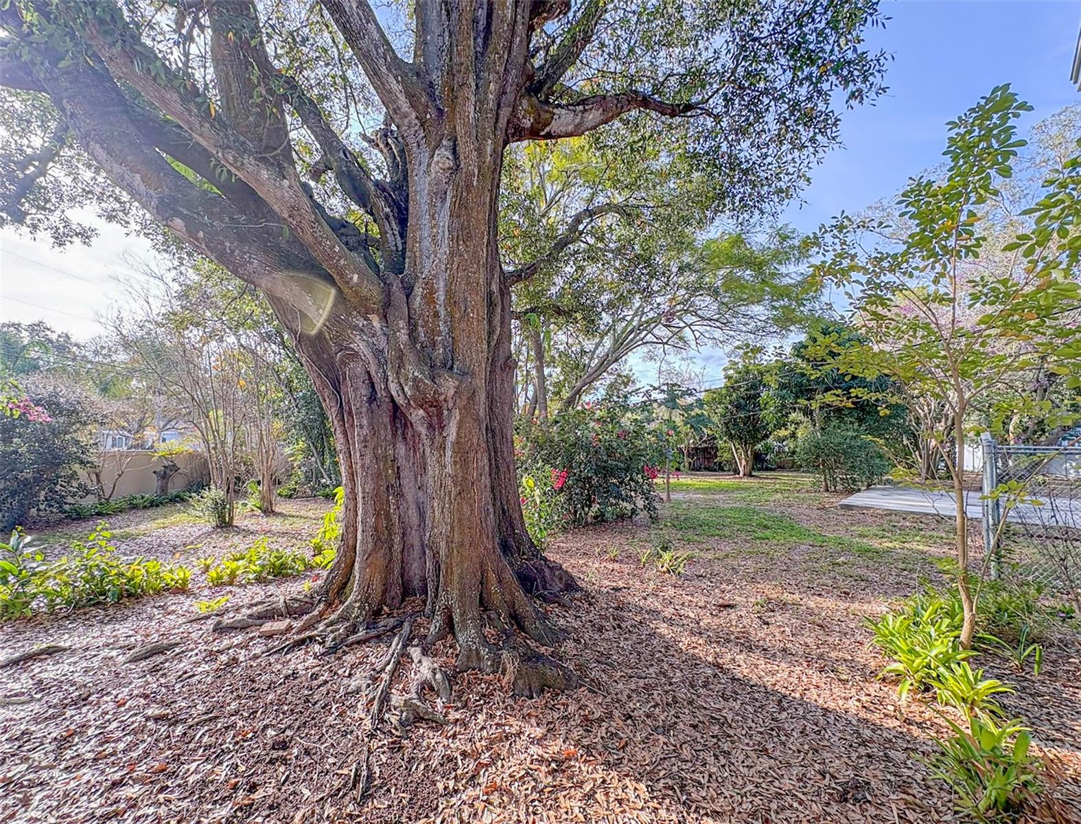 Image 28 of 29 For 1631 Monterey Lane