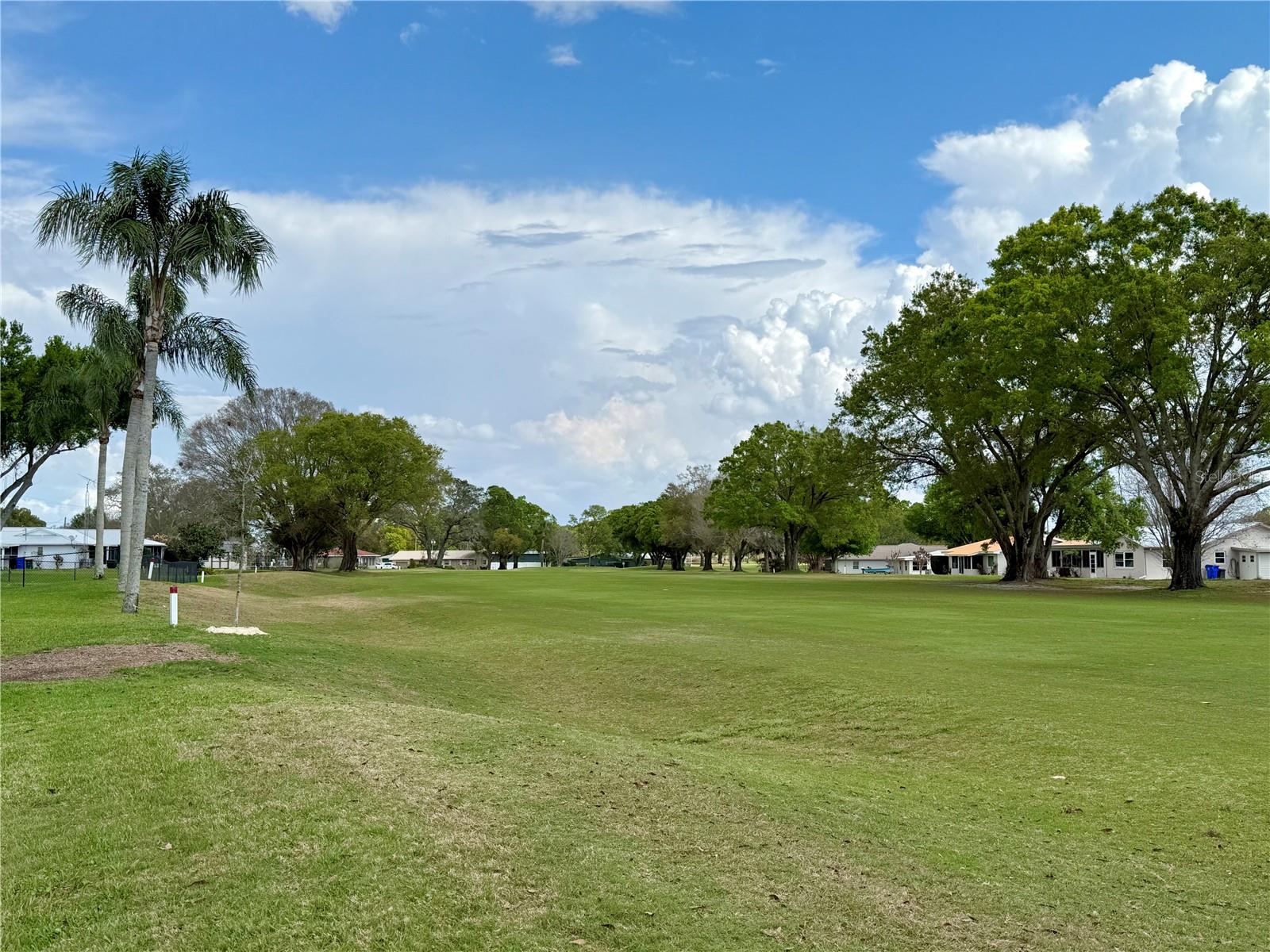 Image 44 of 49 For 233 Greensview Drive