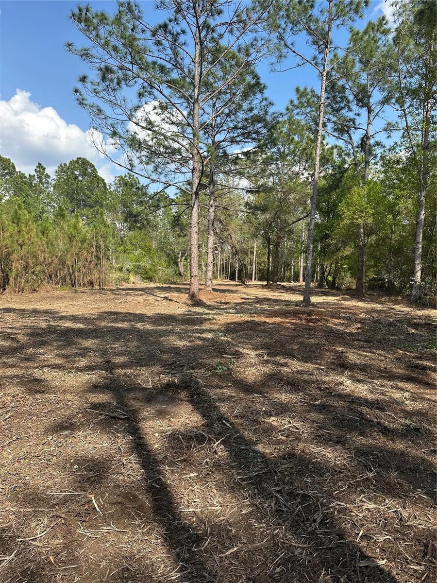 Image 4 of 5 For Commonwealth Avenue N