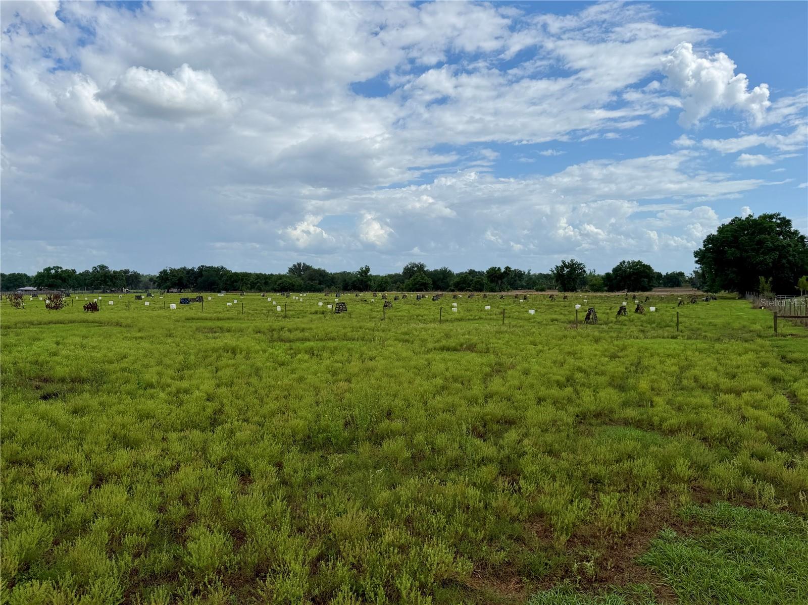 Image 11 of 12 For  St Rd 64  