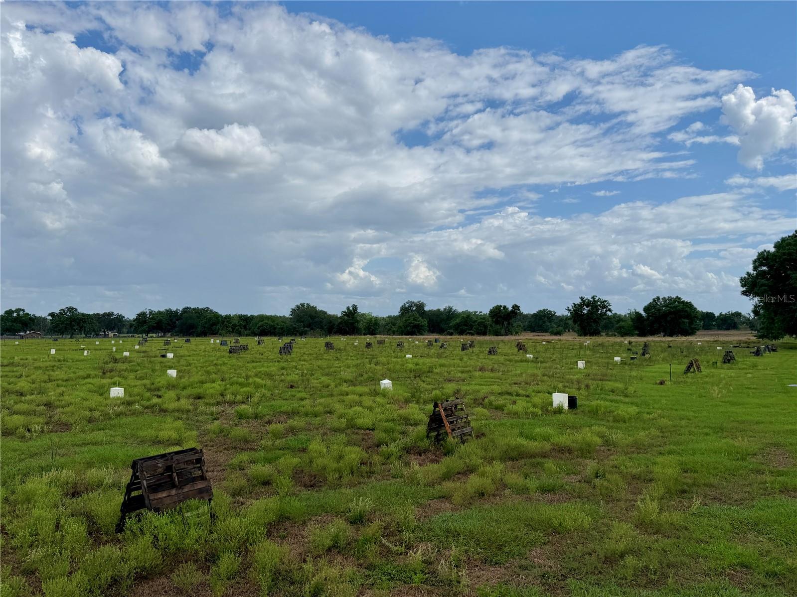 Image 12 of 12 For  St Rd 64  