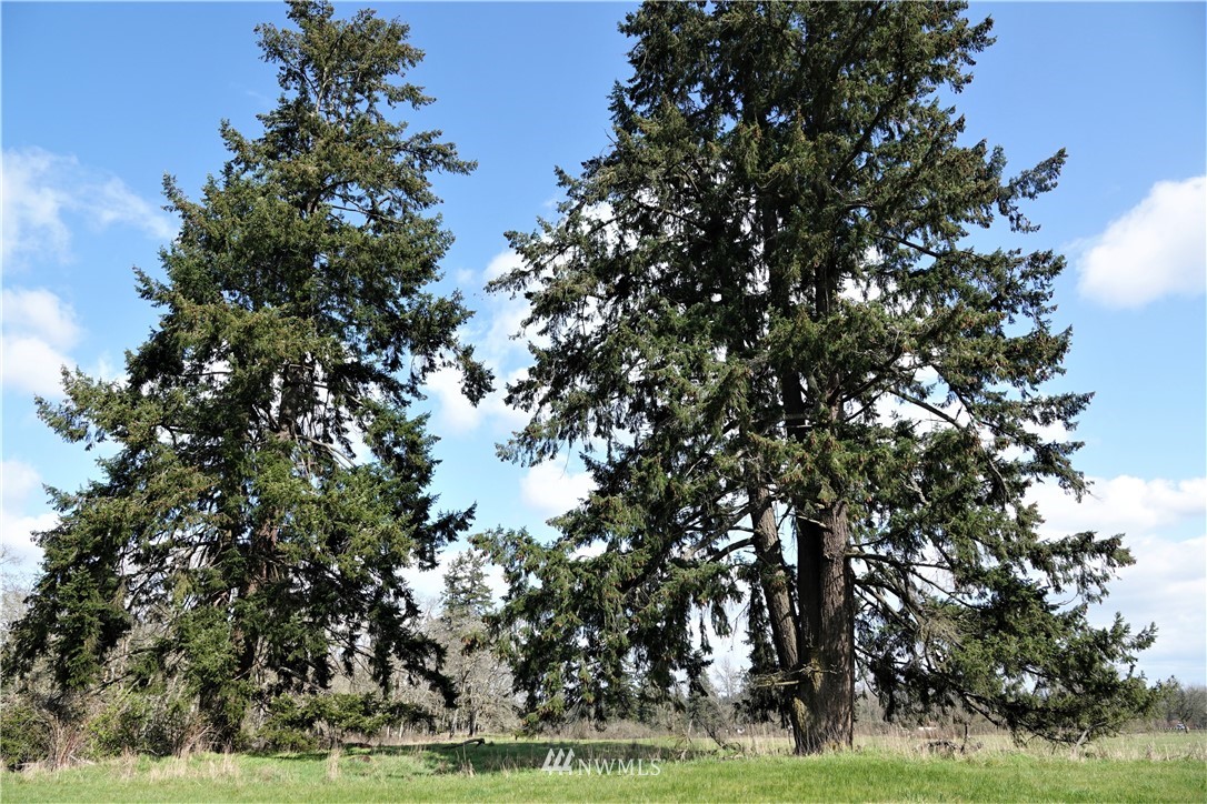 Image 10 of 16 For 0 Wa 507 S 