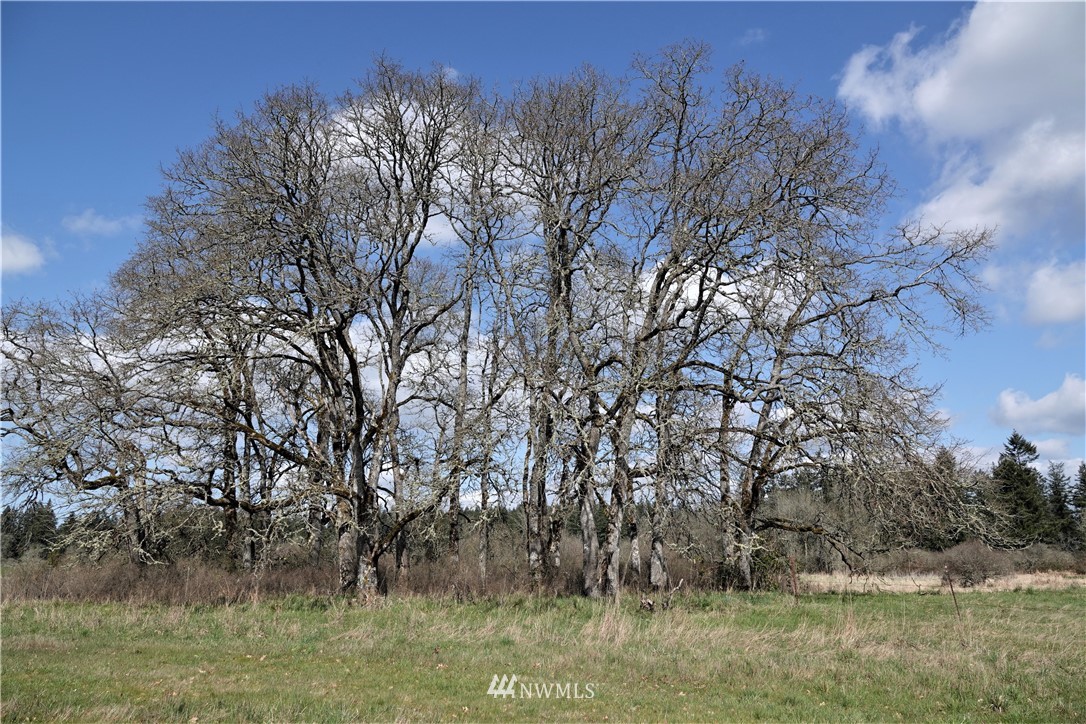 Image 8 of 16 For 0 Wa 507 S 