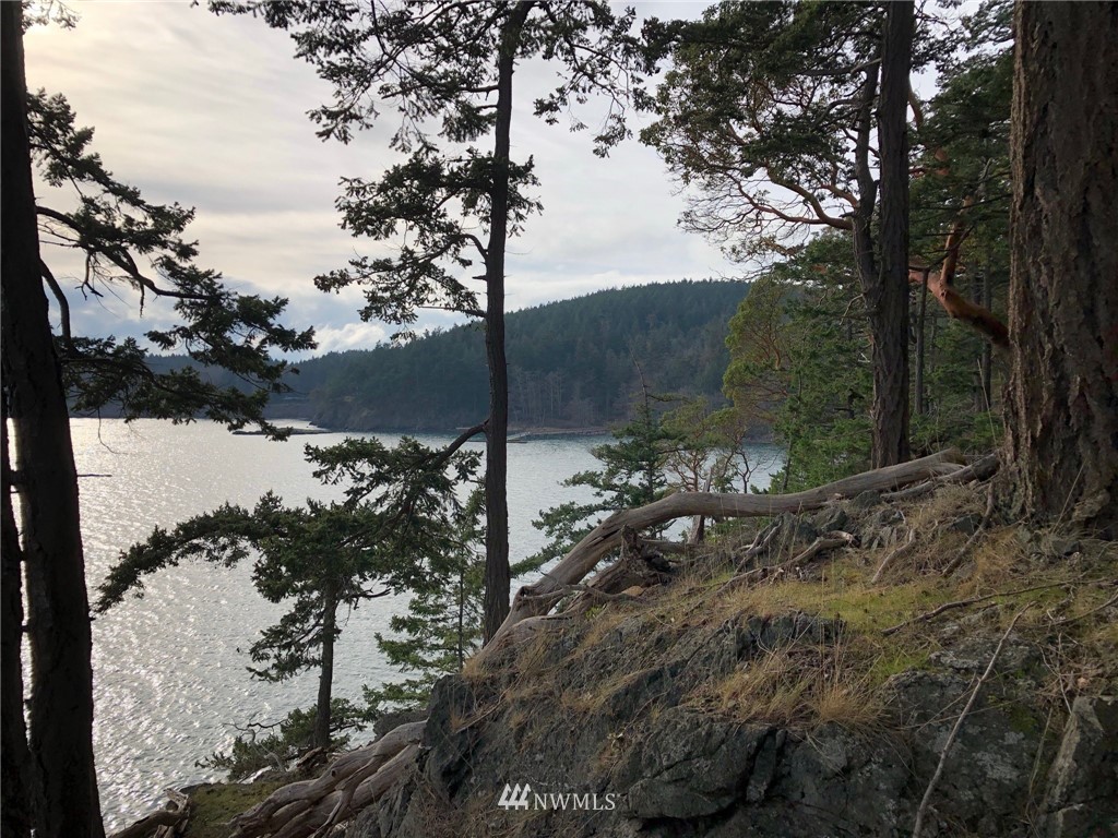 Details for 0 Lot 5 Fauntleroy Pt The Hermitage Drive, Decatur Island, WA 98221