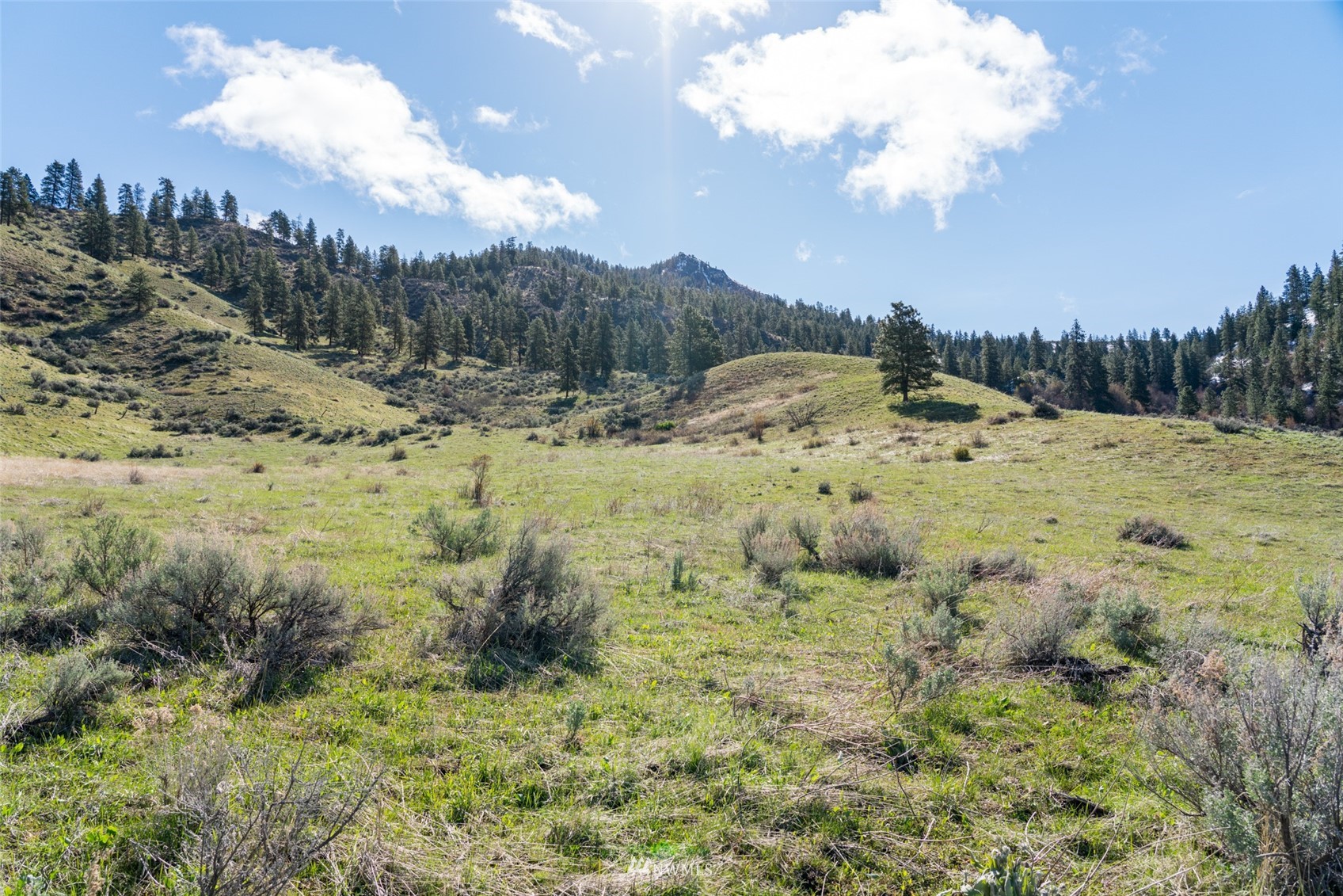 Image 16 of 37 For 9757 Nahahum Canyon Road