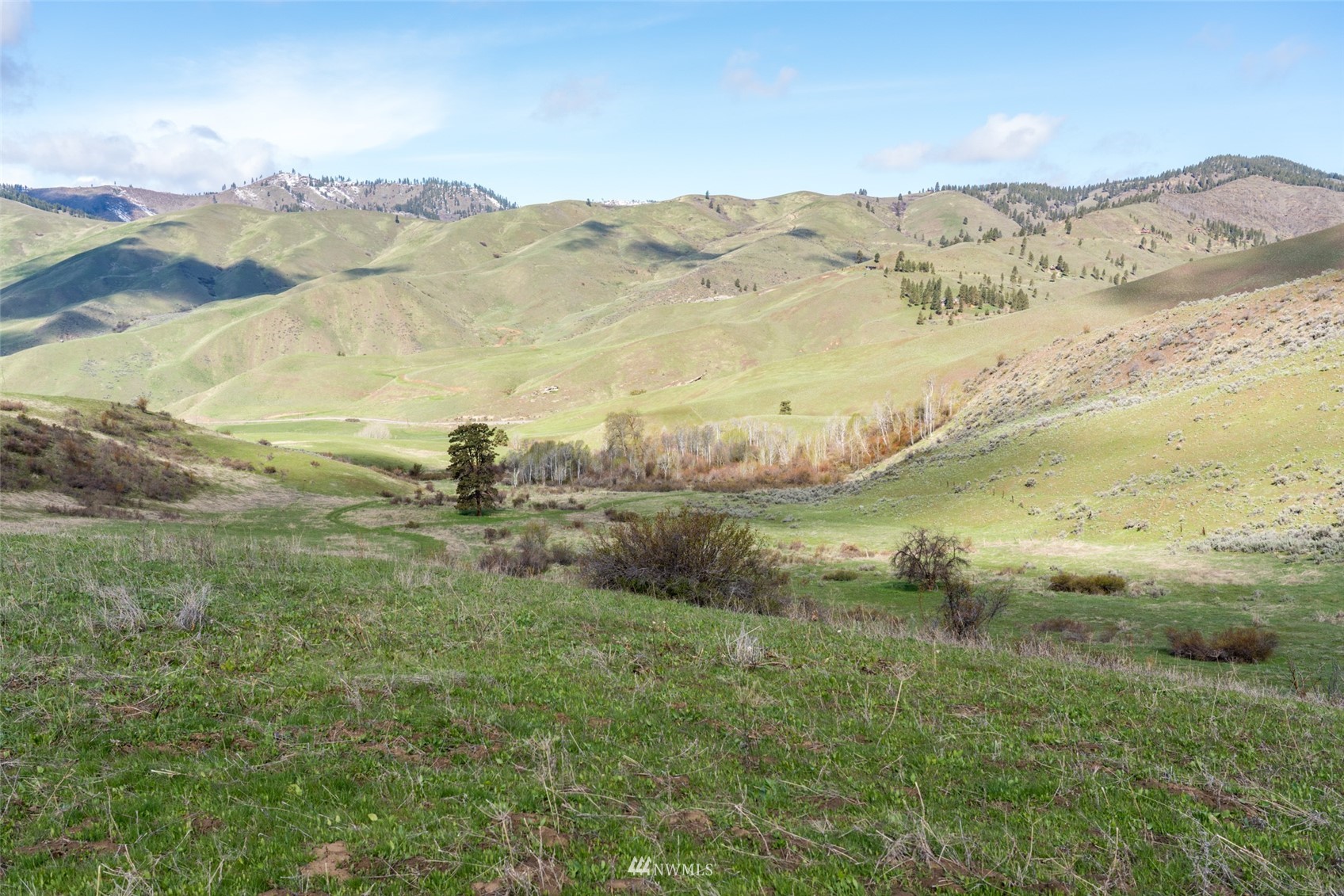 Image 19 of 37 For 9757 Nahahum Canyon Road