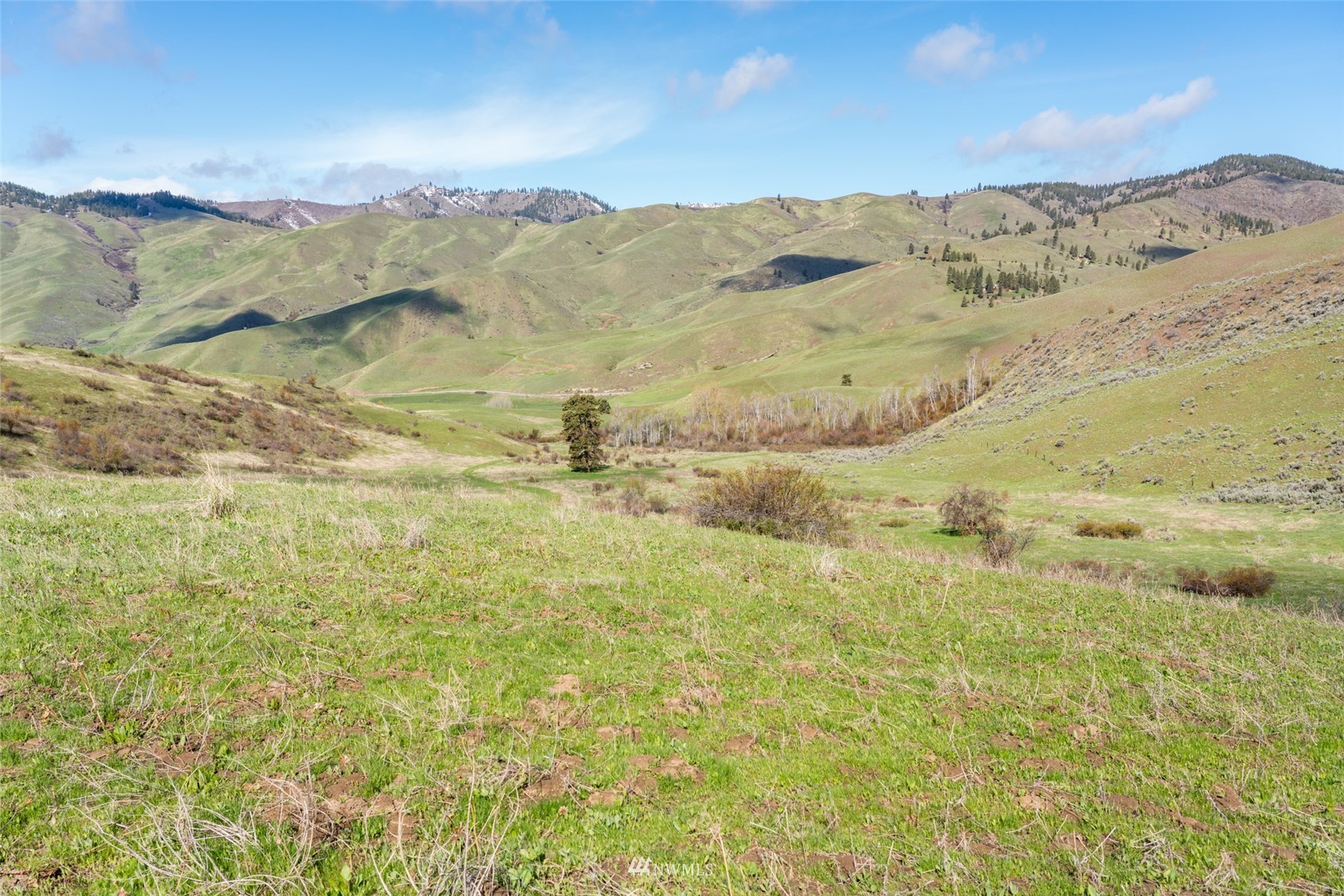 Image 23 of 37 For 9757 Nahahum Canyon Road