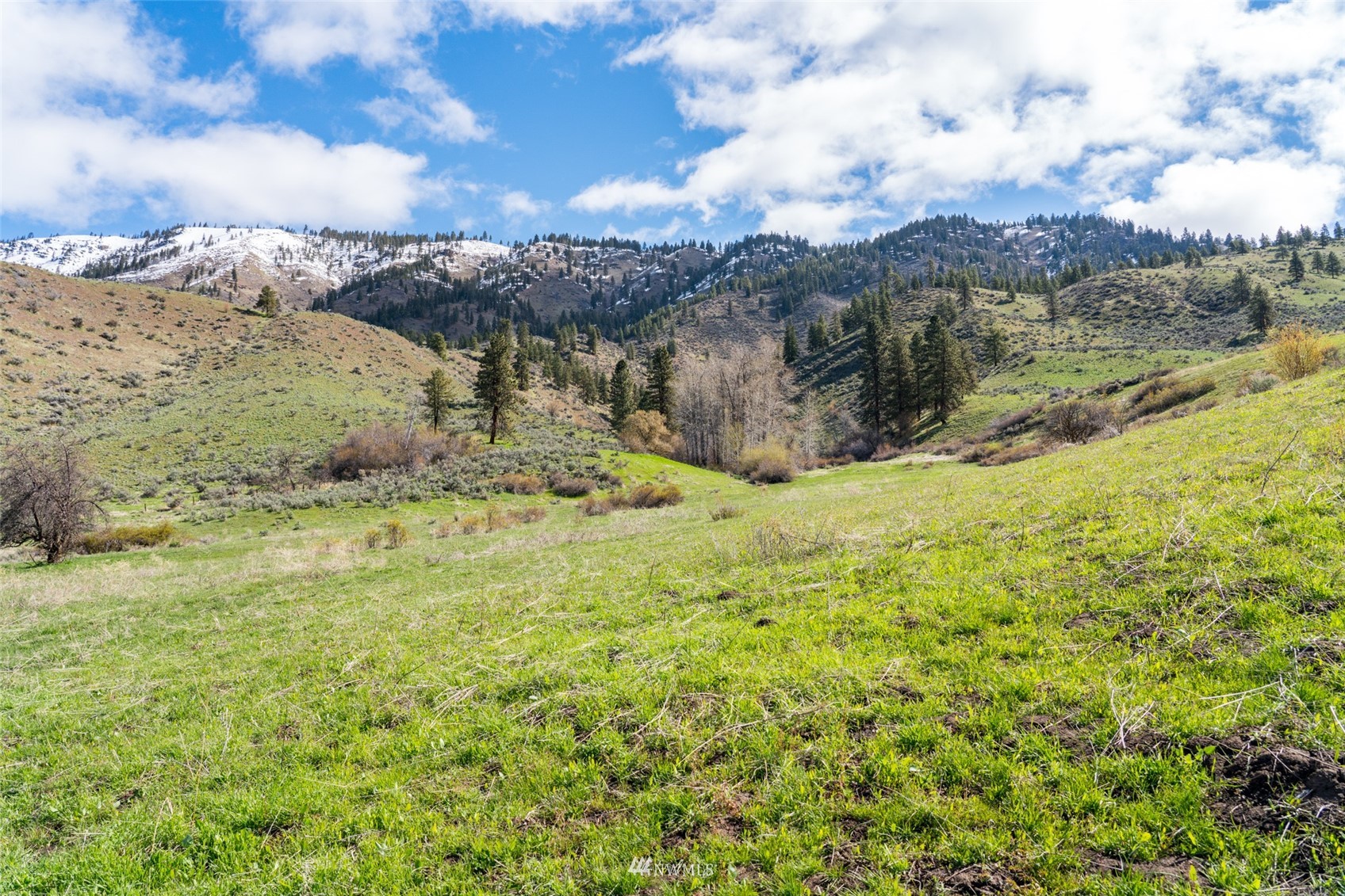 Image 28 of 37 For 9757 Nahahum Canyon Road