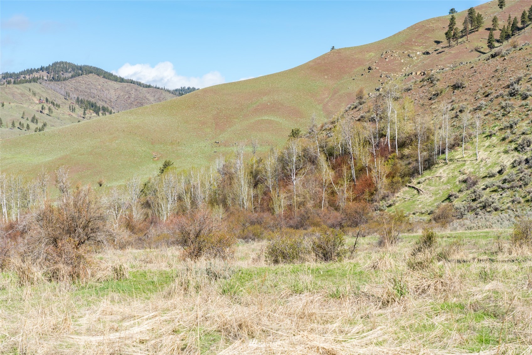 Image 29 of 37 For 9757 Nahahum Canyon Road