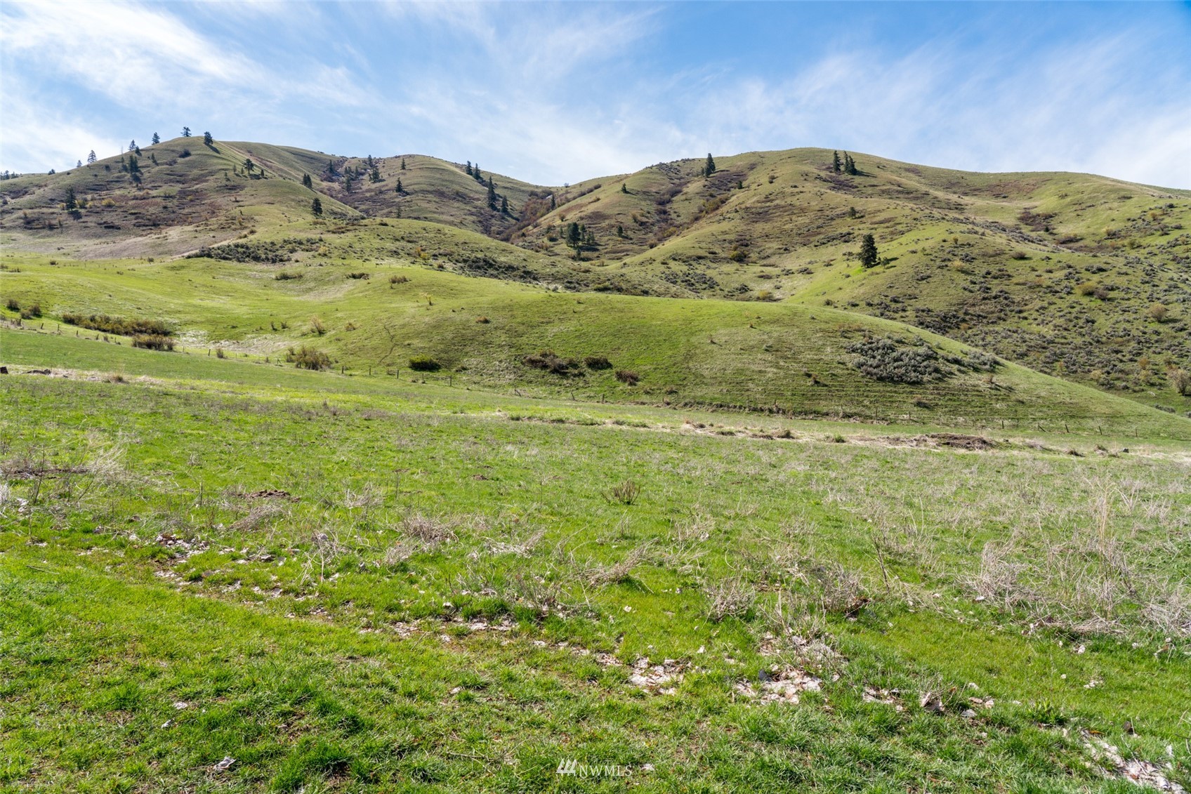 Image 35 of 37 For 9757 Nahahum Canyon Road