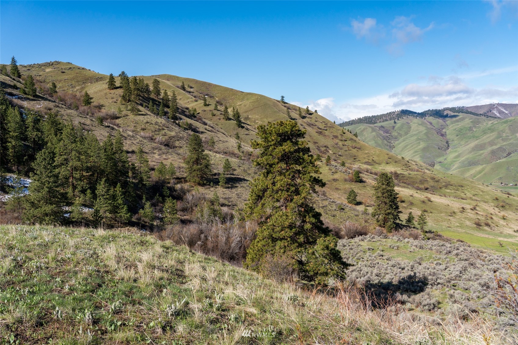 Image 8 of 37 For 9757 Nahahum Canyon Road