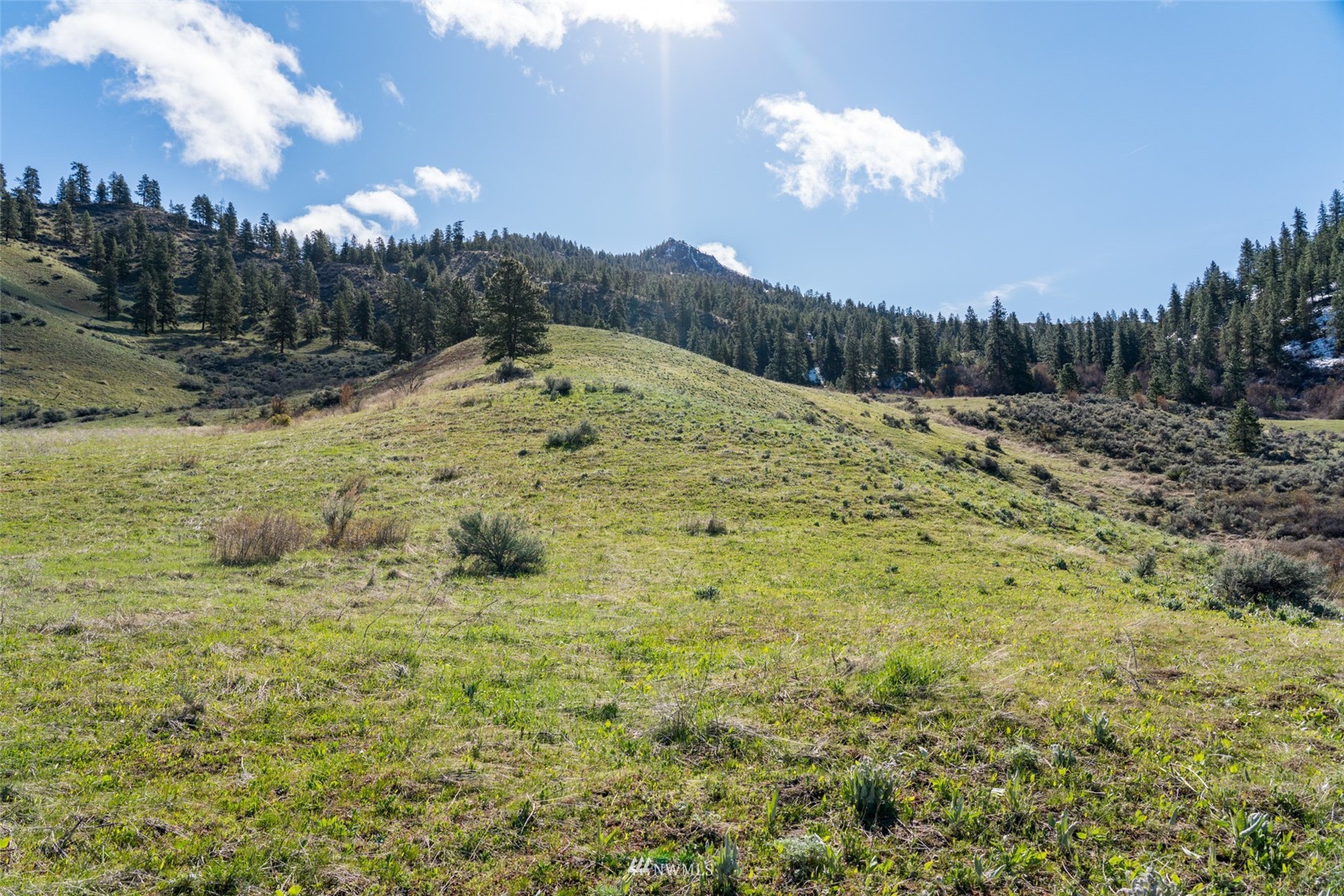 Image 9 of 37 For 9757 Nahahum Canyon Road